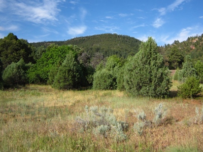 Glorieta Mesa