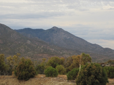 Pine Mountain