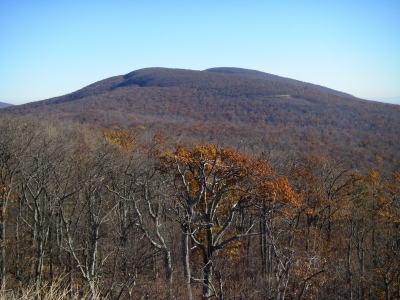 South Marshall