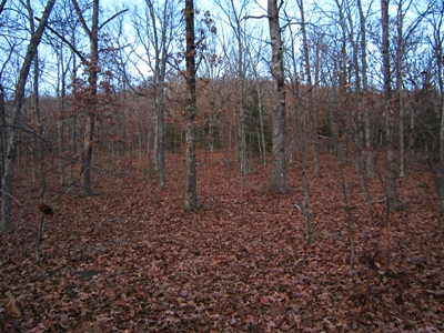 Van East Mountain