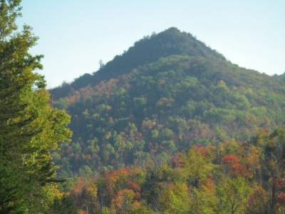 Owls Head