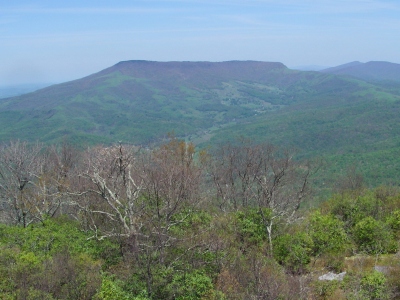 Beartown Mountain