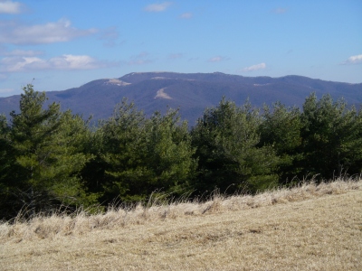 Buck Mountain