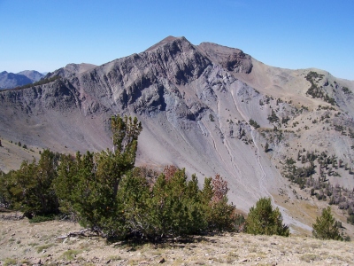 "Alta Peak"
