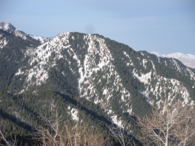 "Thayne Peak"