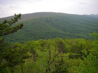 Mill Mountain