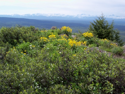 Warm River Butte