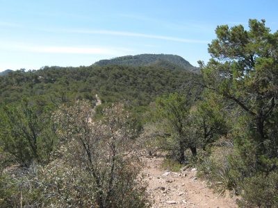 Maverick Hill