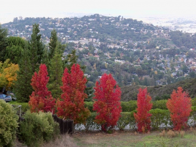 Belmont Hill