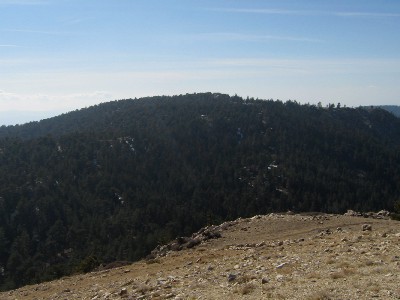 Sawmill Mountain