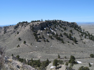 Cedar Top