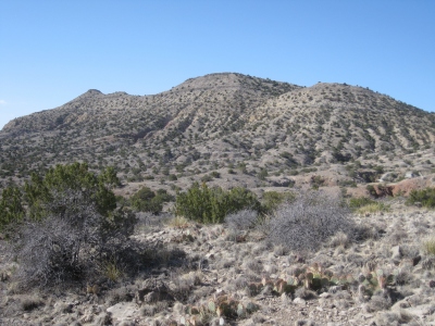 Cerro Venado