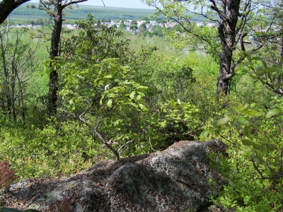 Pisgah Mountain