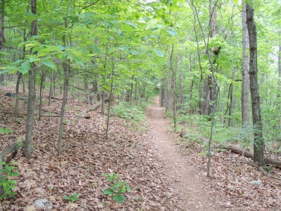 Chestnut Ridge