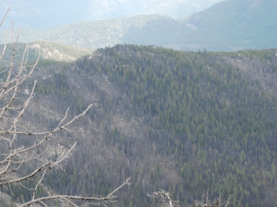 McDaniel Mountain