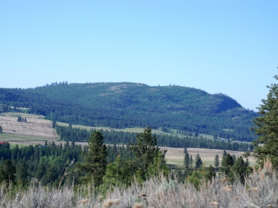 Burge Mountain