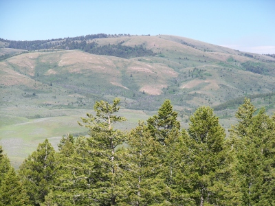 Thatcher Hill