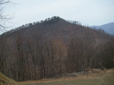 Wildcat Mountain