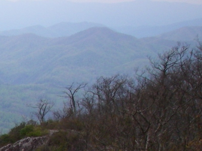 Cedar Mountain