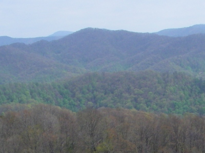 Grassy Knob