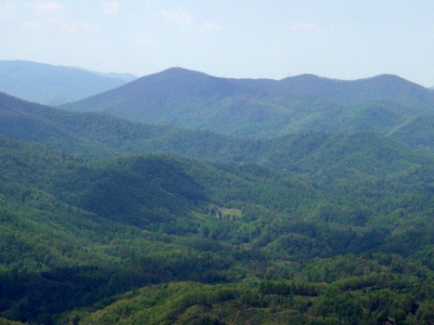 Phillips Knob