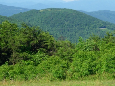 Scott Mountain