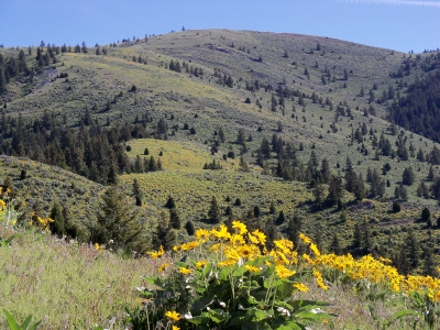 Deadhorse Ridge, North