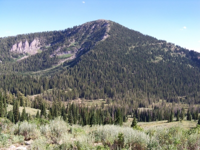 Bloomington Peak
