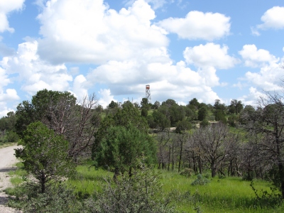 Bluewater Lookout