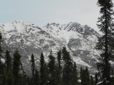 Magnificent, Mount