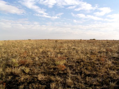 "Schubert Hill"