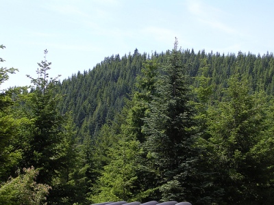Trask Mountain