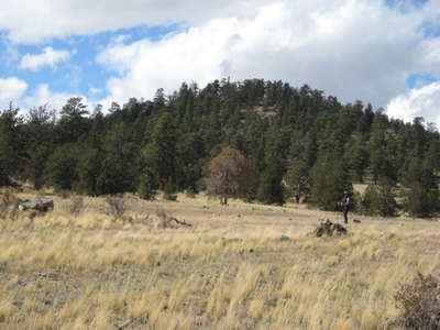 Baker Mountain