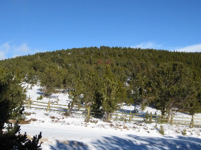 California Mountain