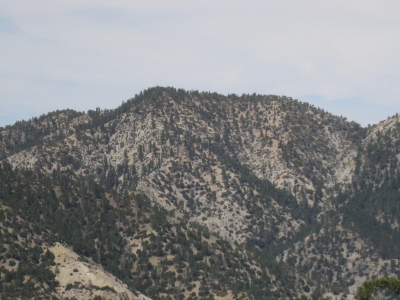 Pallett Mountain