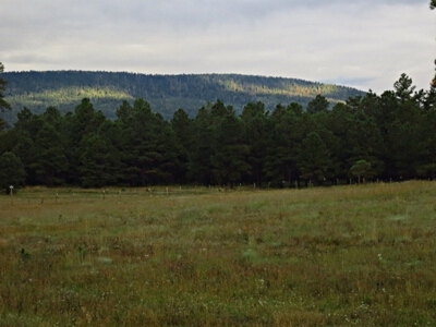 Middle Mountain