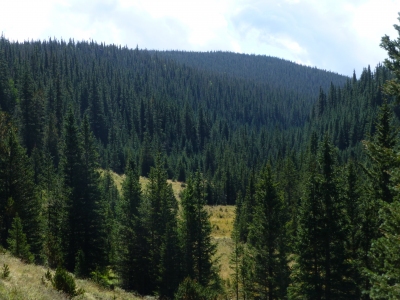 Taos Peak