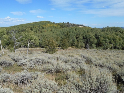 Roan Peaks, East