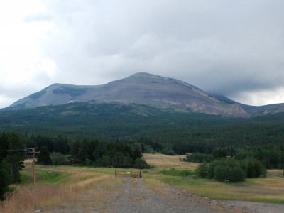 Bison Mountain