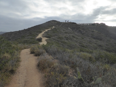 Niguel Hill