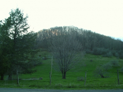 Glade Mountain