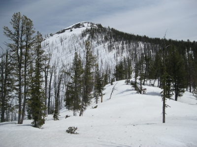 "Butte Cabin Ridge"