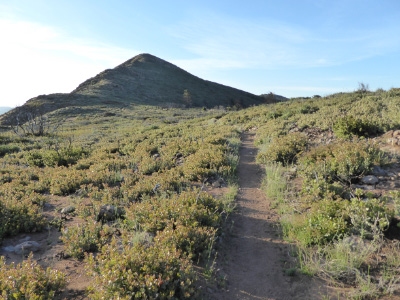 "Hays Peak"