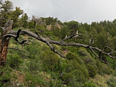 Ojito Peak