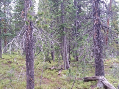 Platte River Wilderness HP