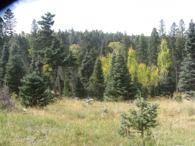 Angostura Ridge