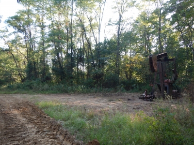 Boyd Hill