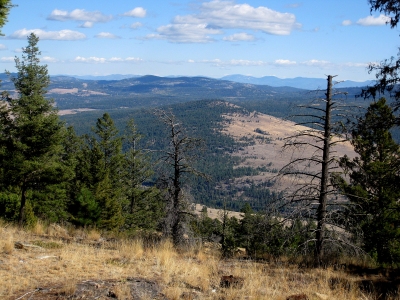 Little Bonaparte Mountain