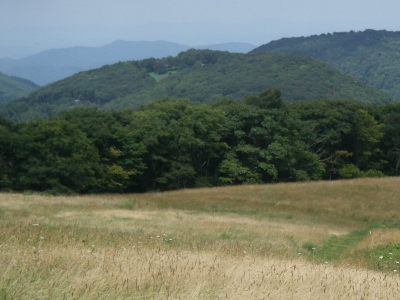 Rich Mountain