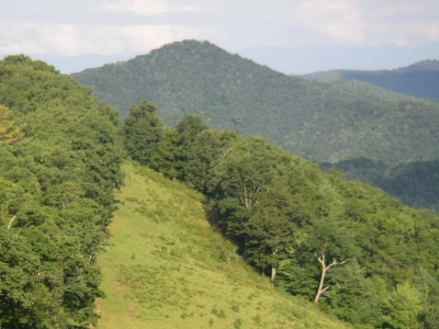 Lamb Knob